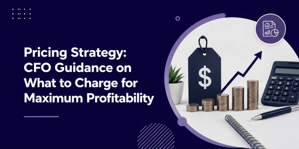 CFO Pricing Strategy for Maximum Profitability